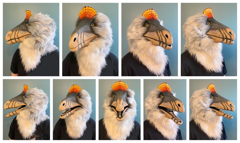 Cryolophosaurus fursuit head, painted print