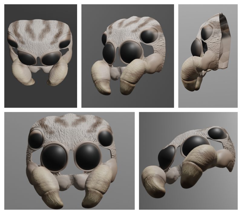 Jumping Spider mask, painted print