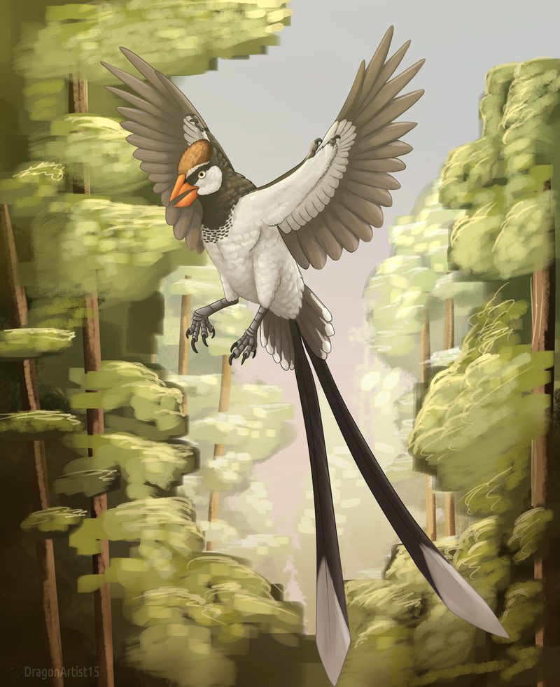 Long-tailed feathered dinosaur landing in a forest canopy