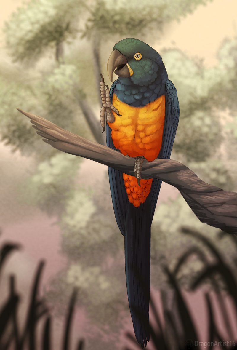 Blue and orange parrot-like bird perched on a branch