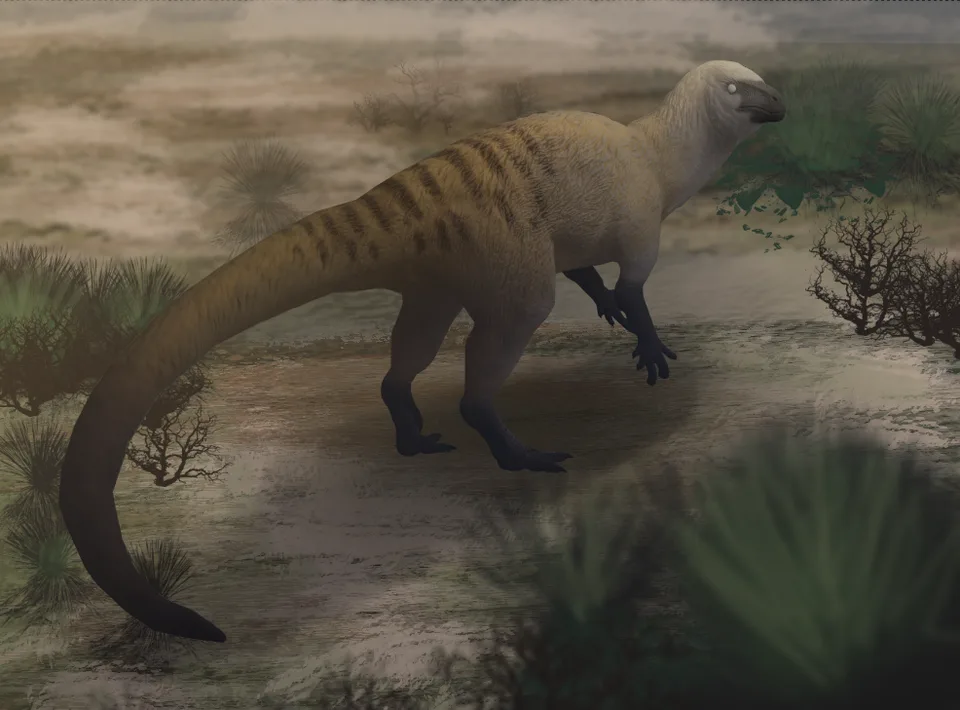Preview of Heterodontosaurus Fig